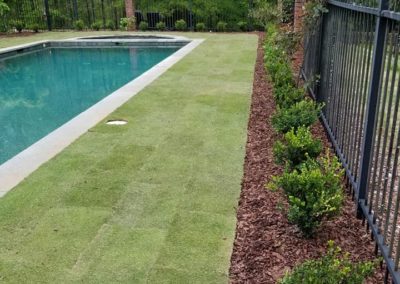 Path Landscaping