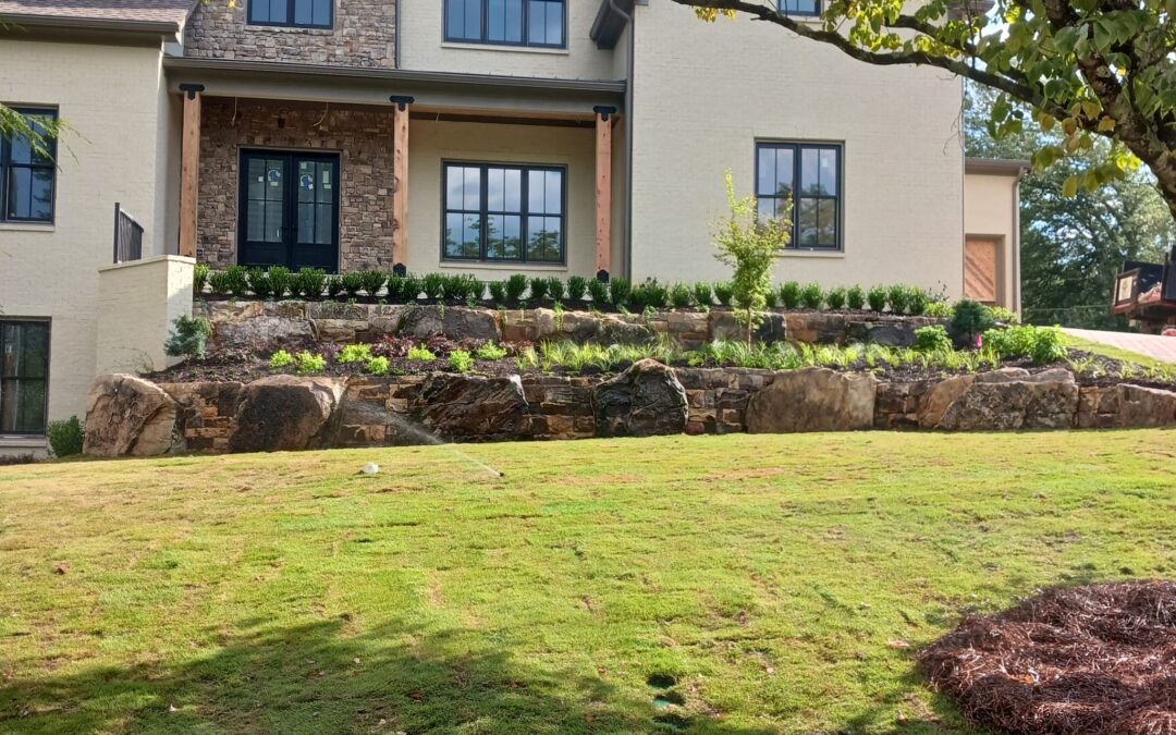 Backyard Border Wall