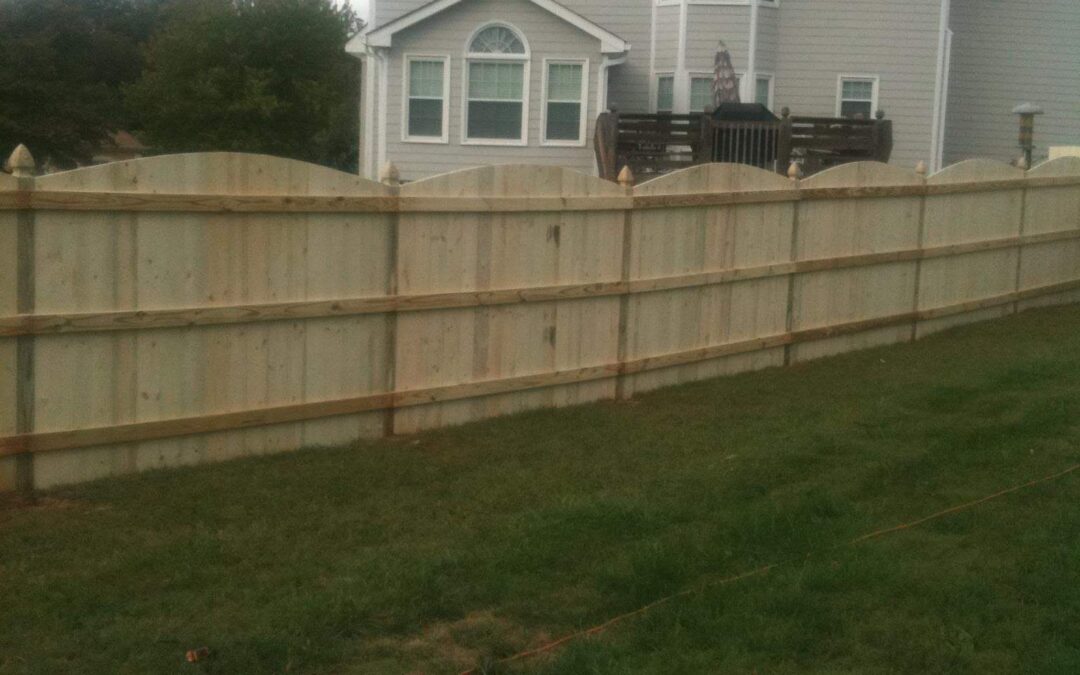 Backyard Fence