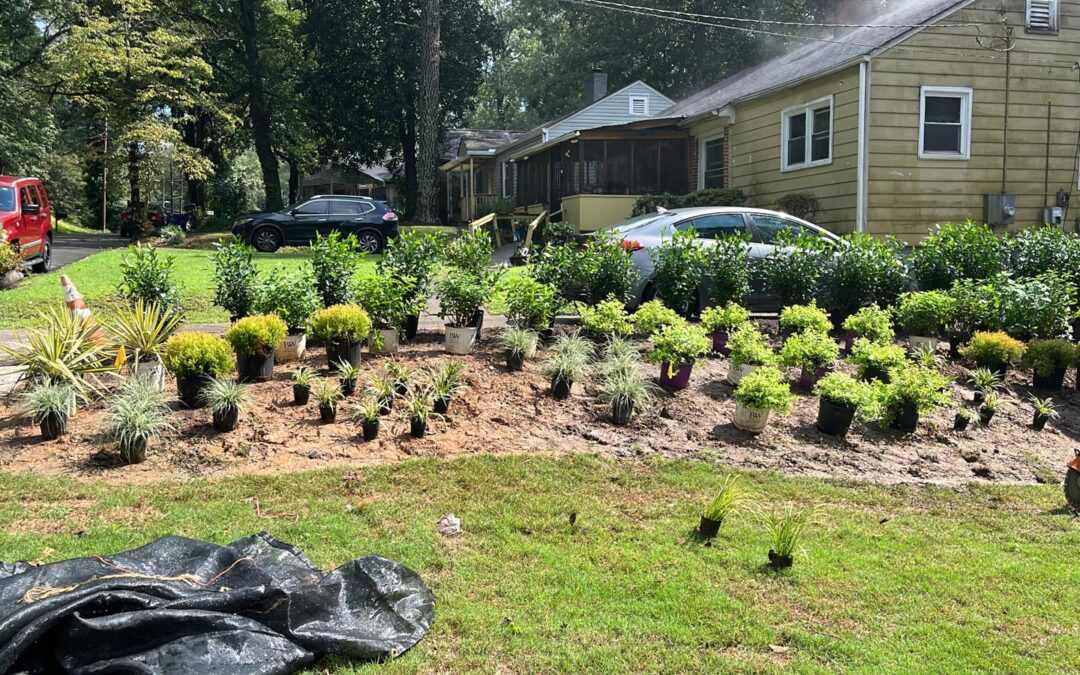 Front Yard Plants