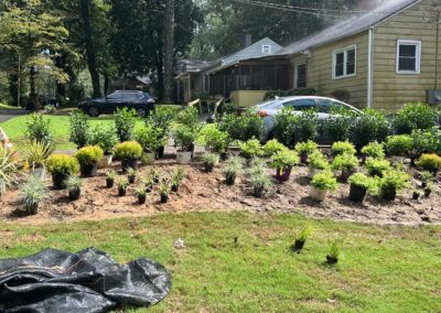 Beautiful Landscaping